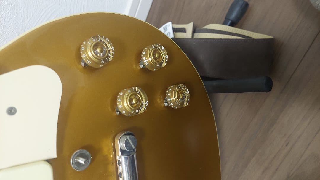 FUJIGEN(FGN) NLS101-AG 2011年製 ゴールドトップ