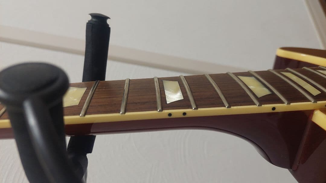 FUJIGEN(FGN) NLS101-AG 2011年製 ゴールドトップ