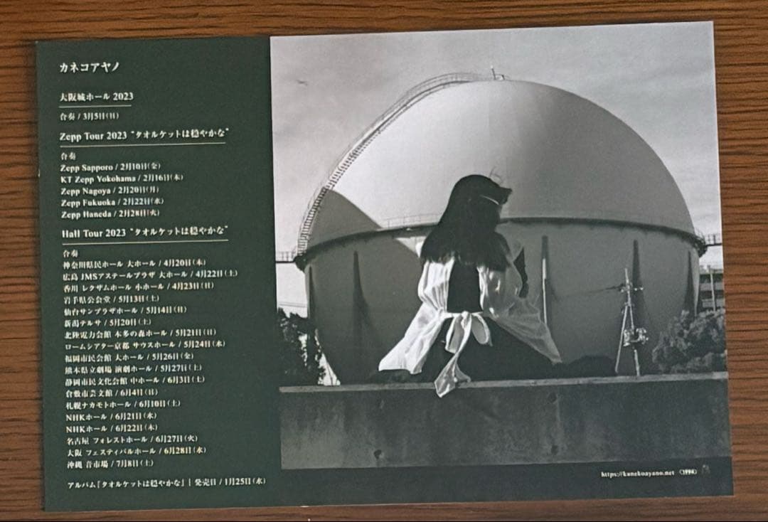 最終価格　カネコアヤノ　タオルケットは穏やかな　未開封