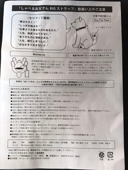 INI SoftBank 直筆全員サイン