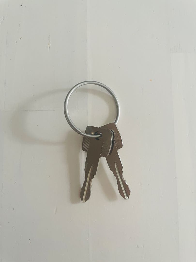 THULE Yepp Nexxt 2 Mini グレー 自転車用チャイルドシート