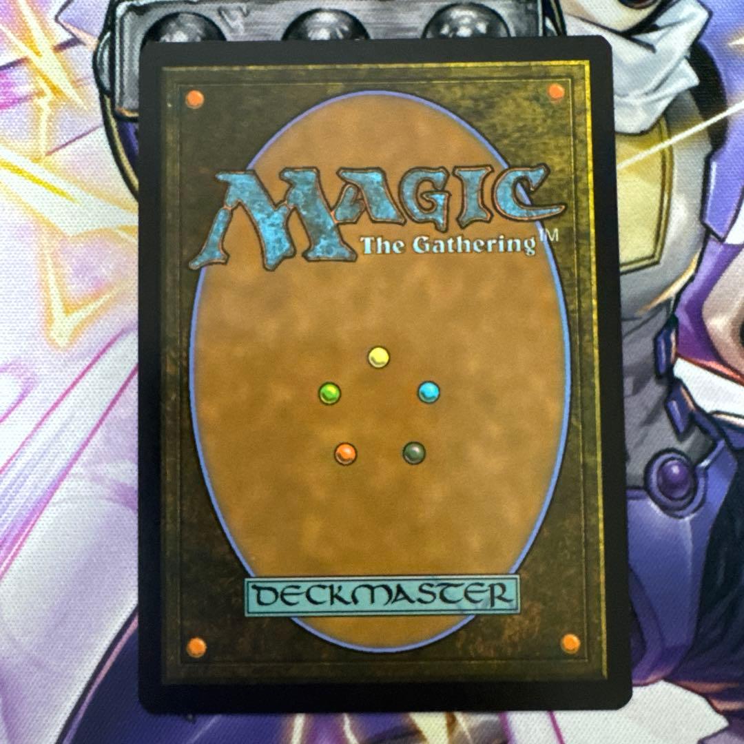 MTG ボーダーレス オセロットの群れ　英語非Foil②