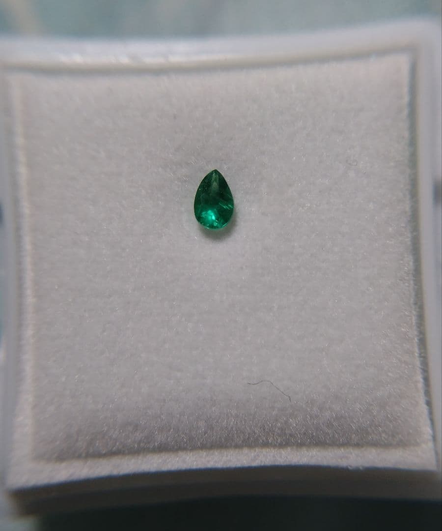 【激レア】グリーンアウイナイト（ソーティング付）