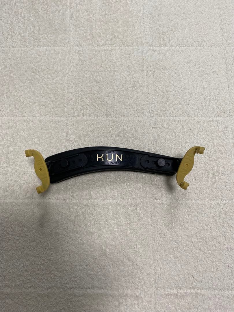 【2022年製】Andreas Eastman バイオリンVL80 1/2