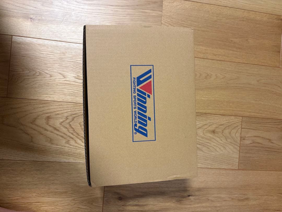 新品未使用　ウイニング　ヘッドギア　Mサイズ　FG2900