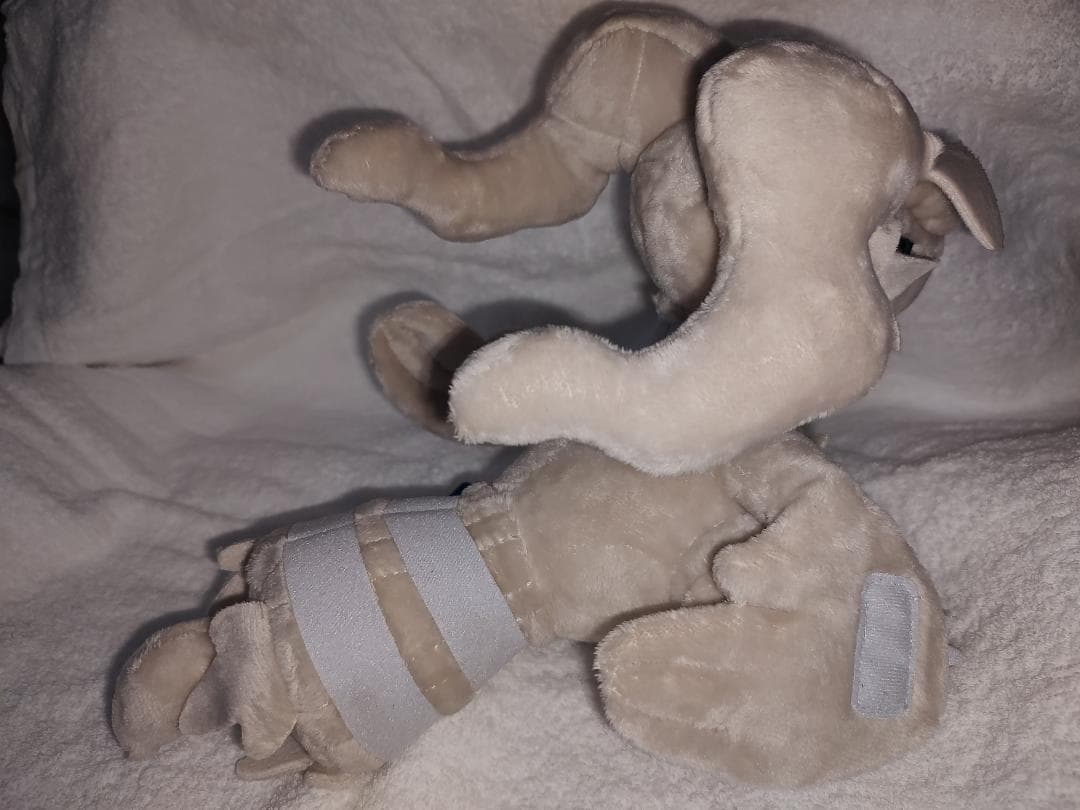 レシラムドール　ポケドール　ポケモンセンター　ポケットモンスター　ぬいぐるみ