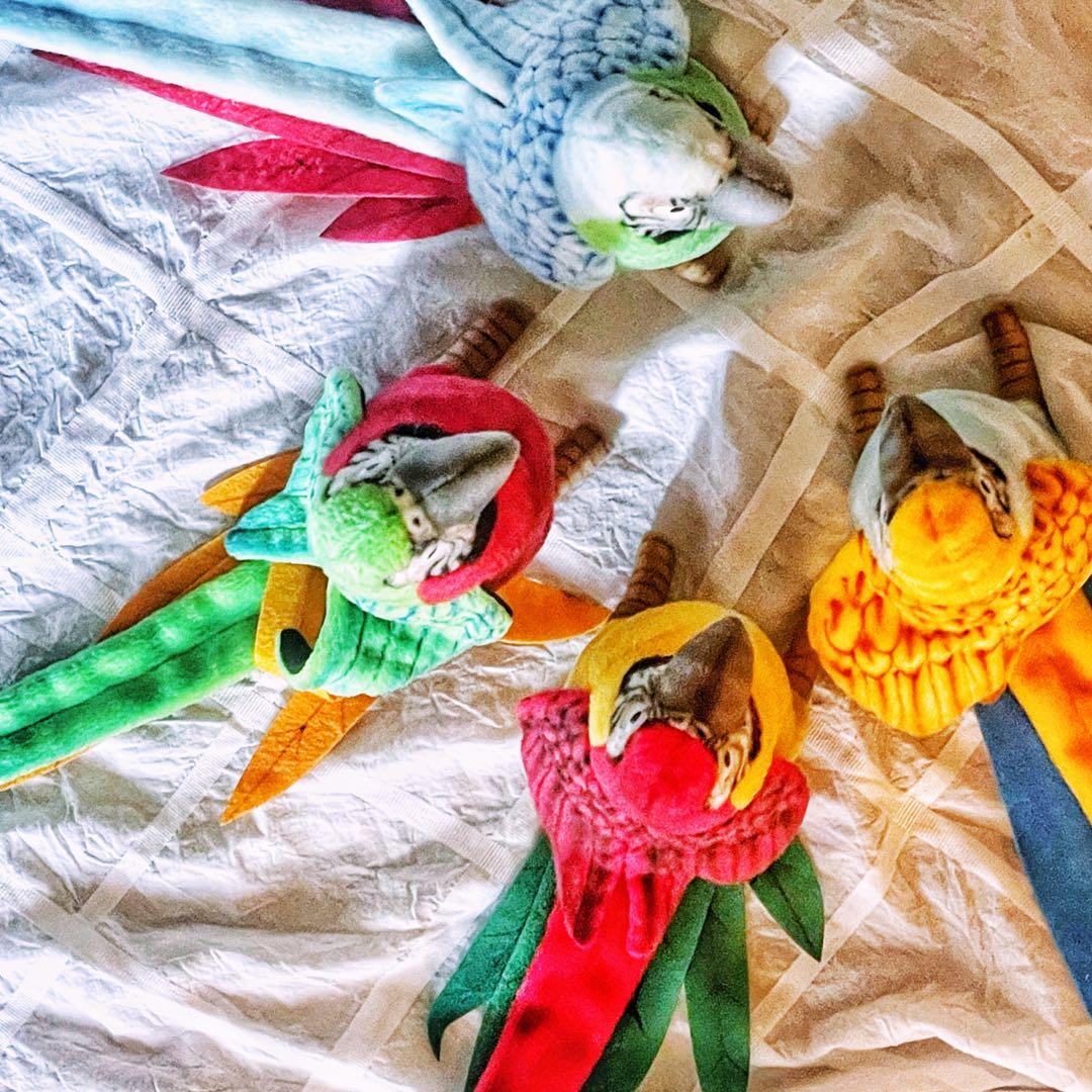 HANSA ハンサ オウム色違い4匹セット ぬいぐるみ