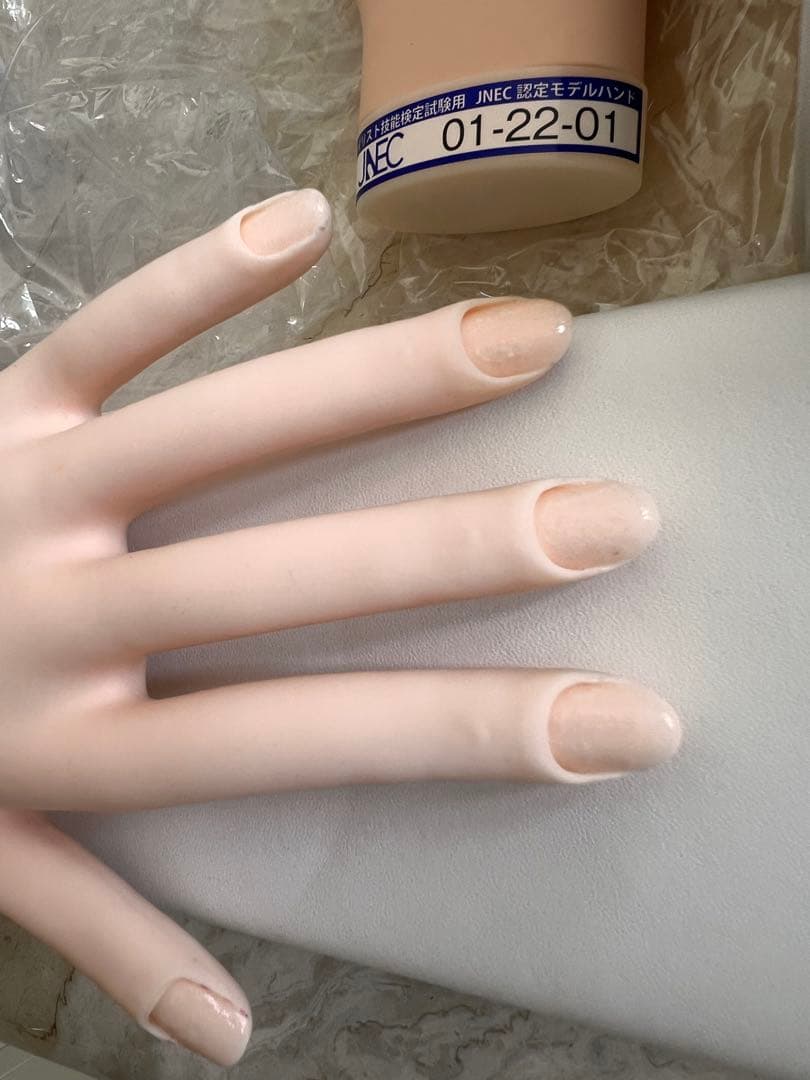 ネイリスト検定認定モデルハンドセット