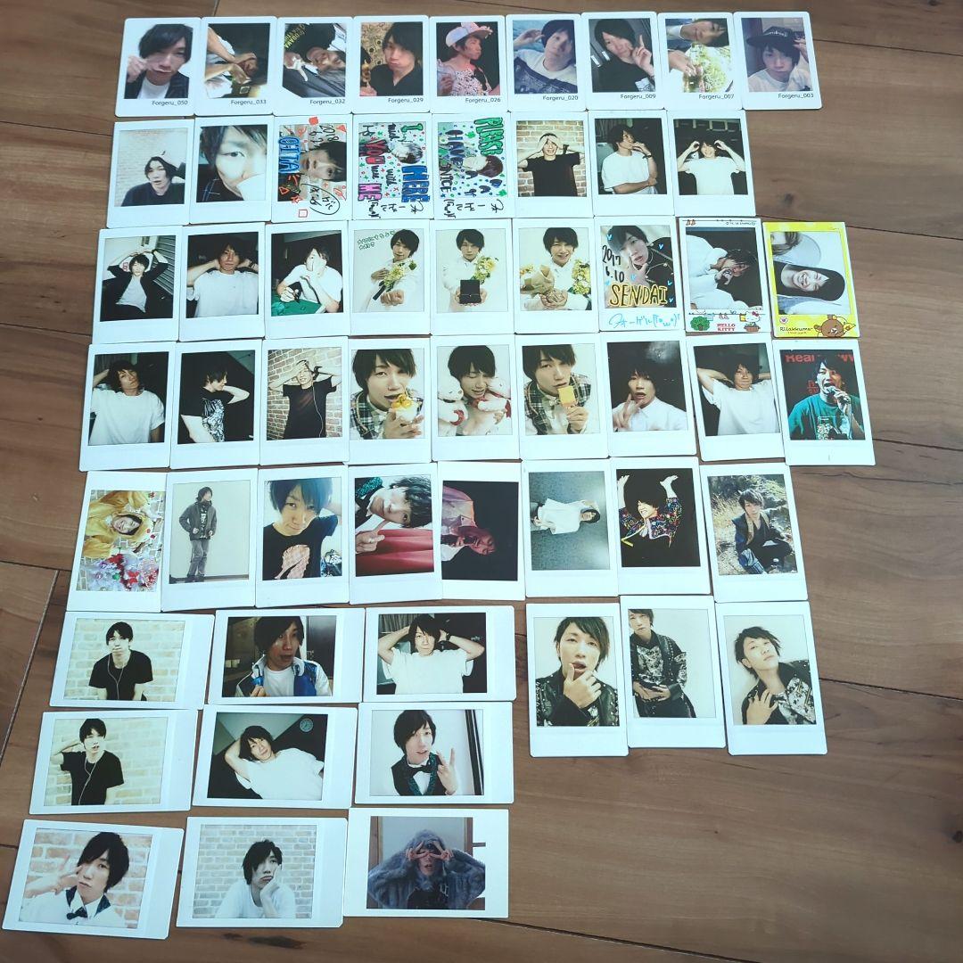 SALE☆めせもあ。　mesemoa.　フォーゲルチェキセット