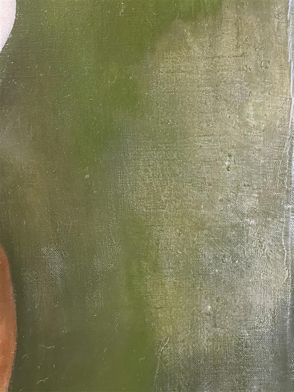 「真作」田中圭三『花の衣』静物画　油彩画　額装　サイン有り　F10号