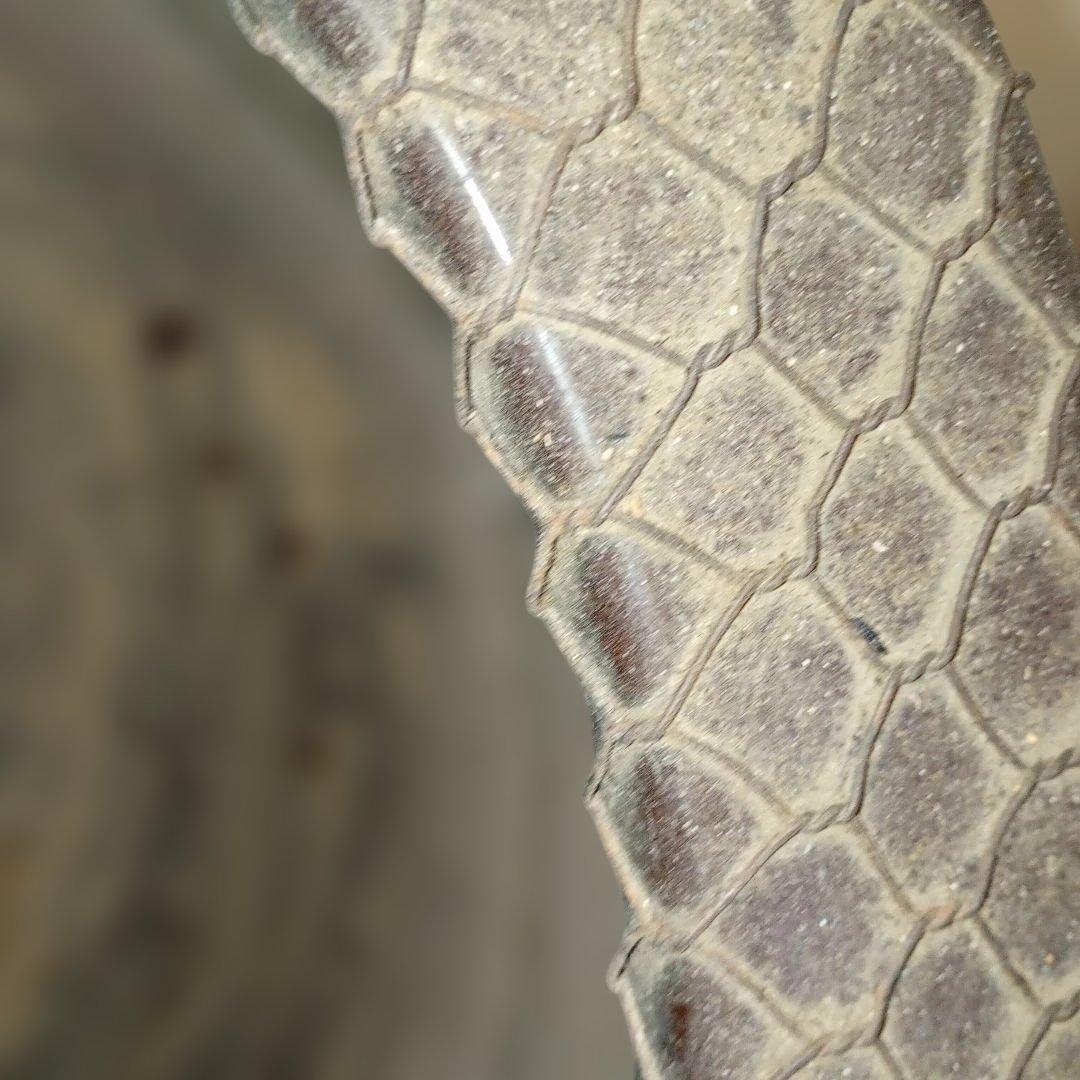 火鉢 網目状装飾