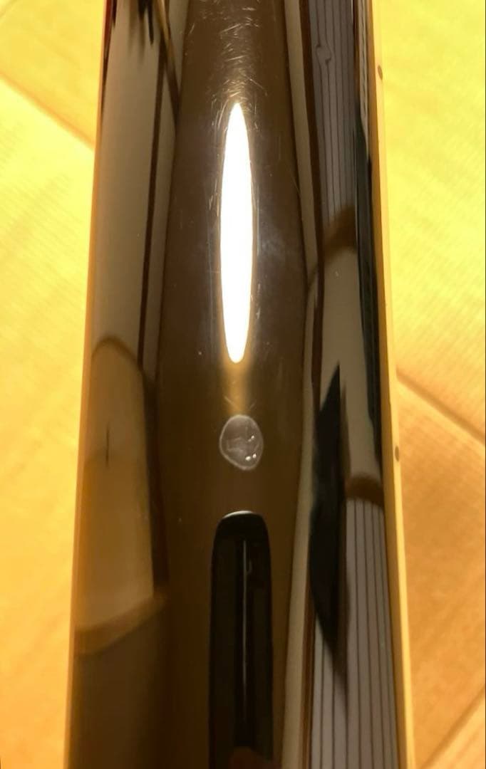 Burny レスポールカスタムタイプ ブラック×シルバー