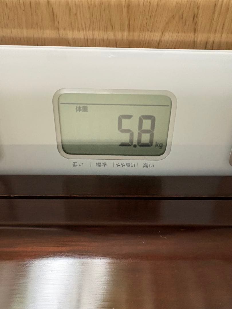 硯(端渓)大きい (30.3㎝×19㎝)