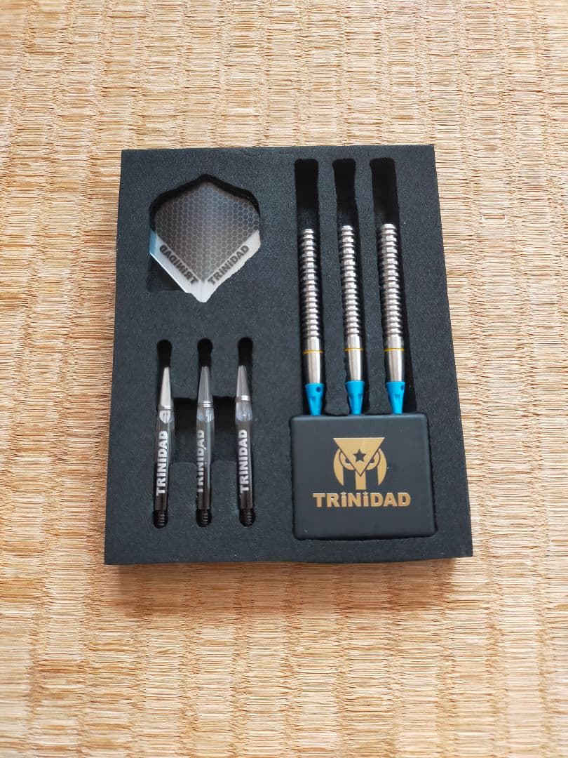 ダーツ トリニダード フレイタス タイプ4 淋翔太モデル 2BA