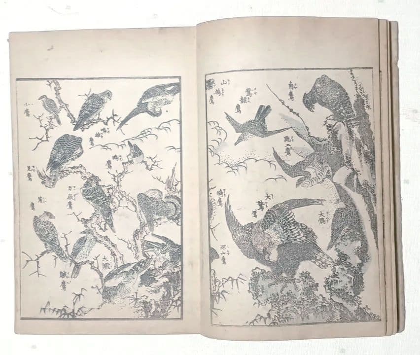 北斎画宛二編（色摺版画本)葛飾北斎画明治初期後摺再板になります（初版は天保3年)