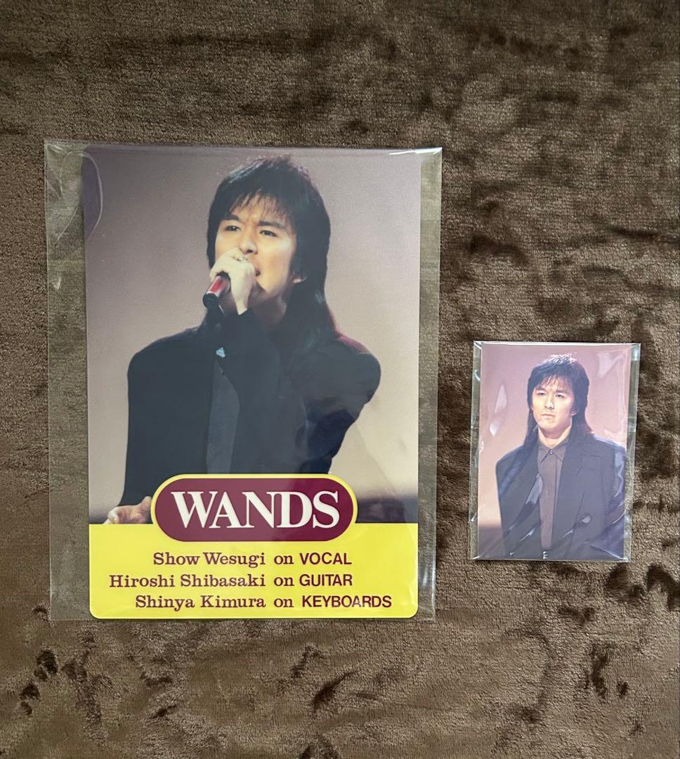 WANDS ファンクラブ 会報誌vol.1～14 おまけ付き