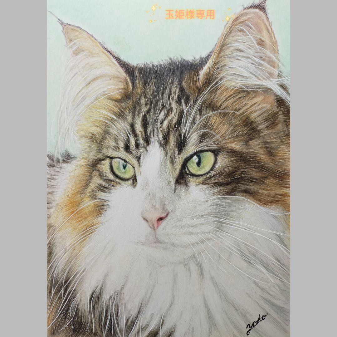 専用　色鉛筆画　絵画　原画　愛猫　似顔絵　オーダーページです