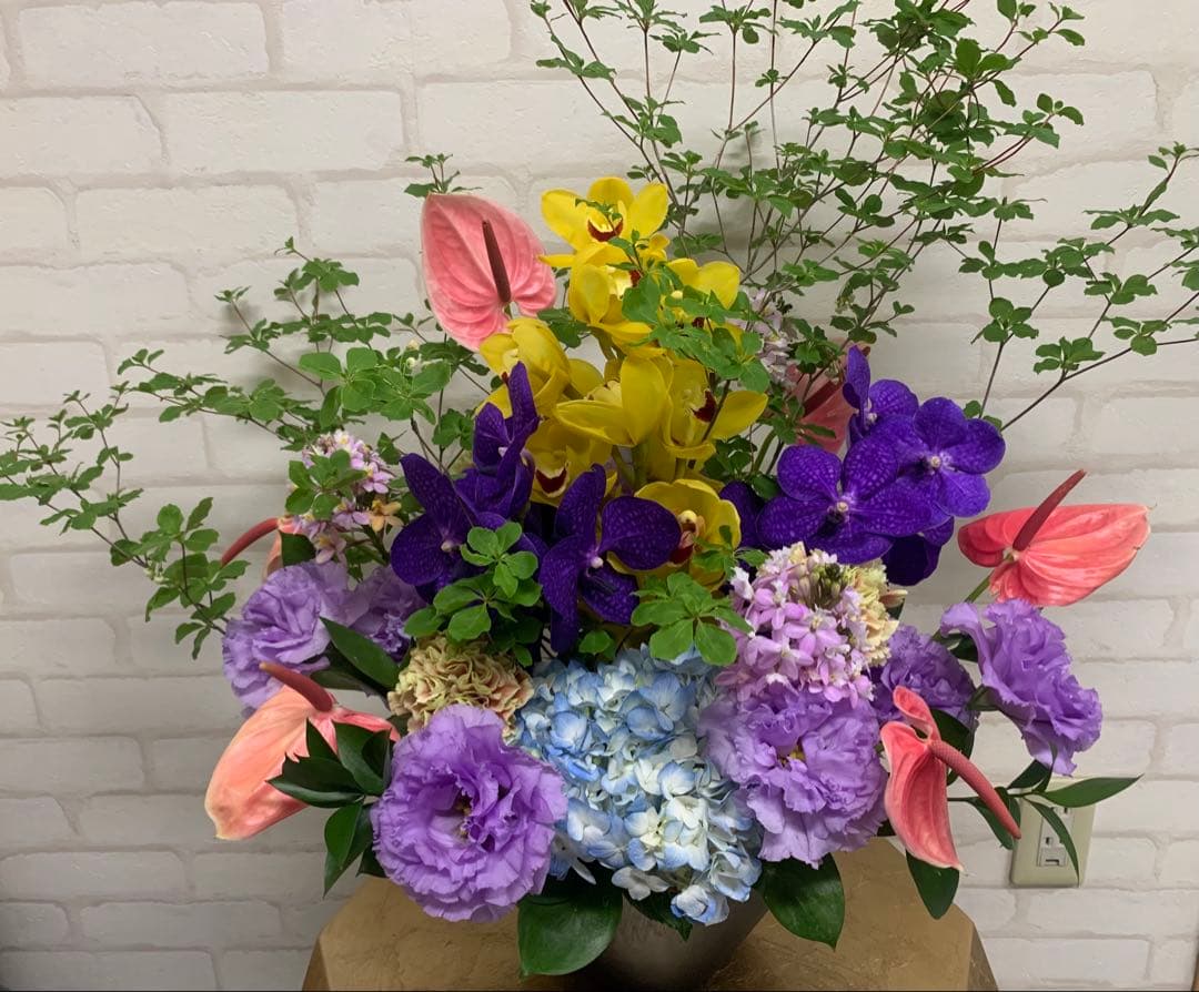 専用　フラミンゴ