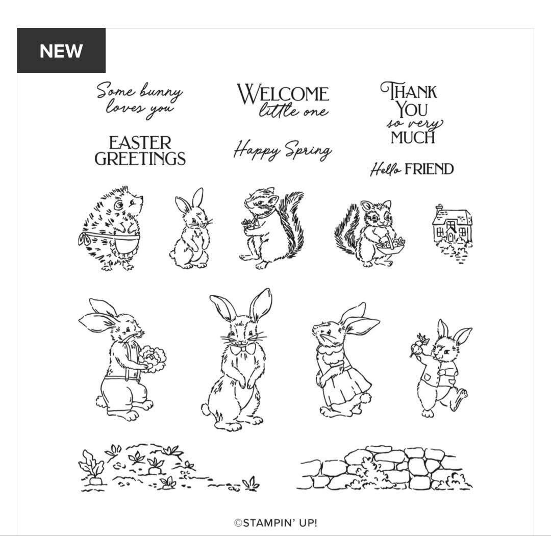 ラスト1点限り新作♡未使用　一押しフレームダイと絵本スタンプ　スタンピンアップ