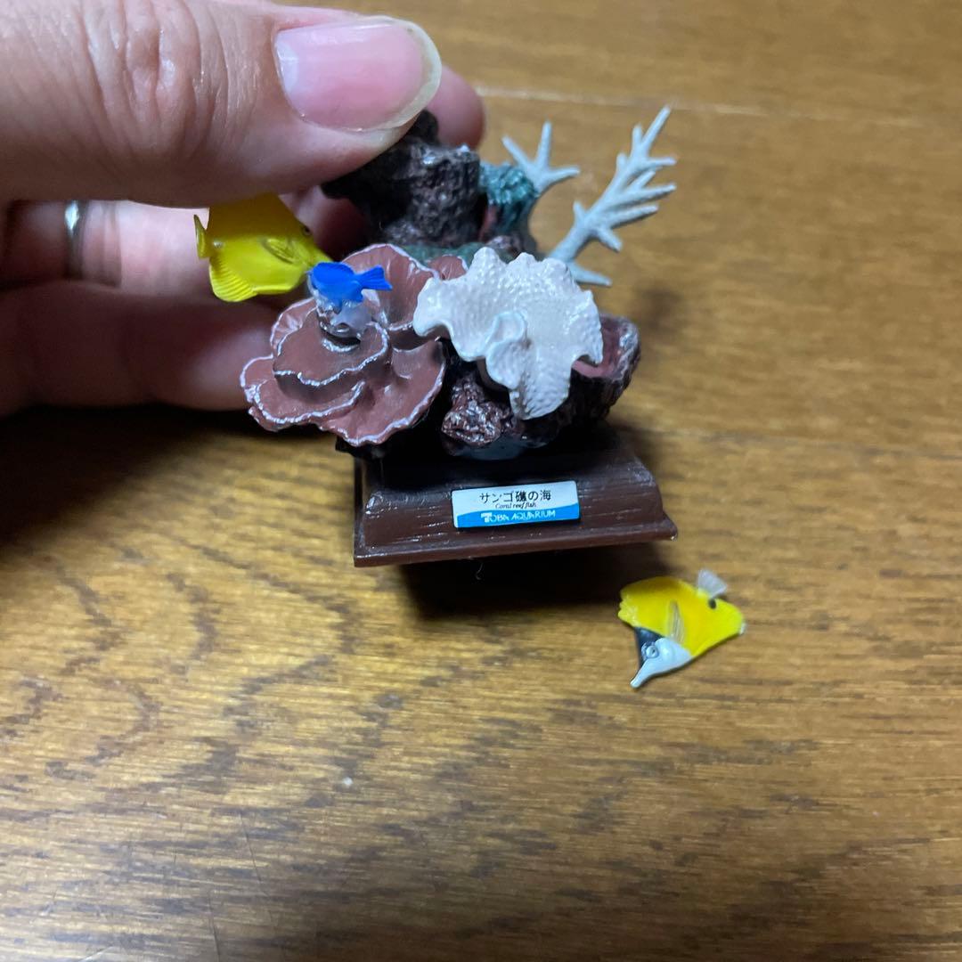 【海遊館限定】　海遊館ガチャガチャ　オニイトマキエイ　アオウミガメ