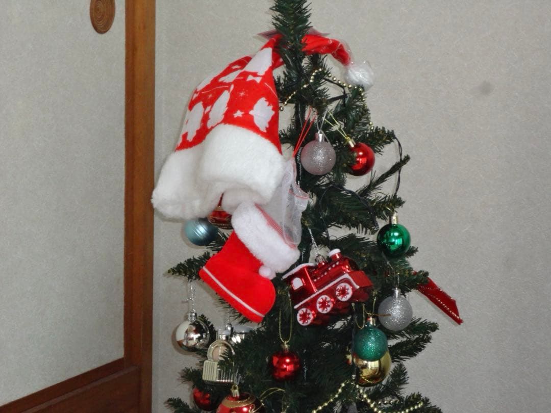 SONYソニーCyber shot DSC W570デジタルカメラ【動作確認済】