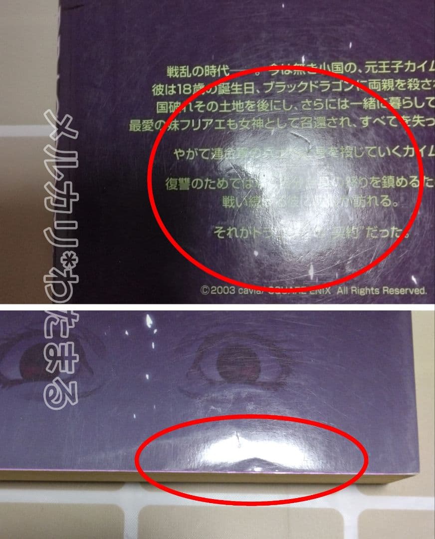 文学・小説 DRAG-ON DRAGOON Story Side