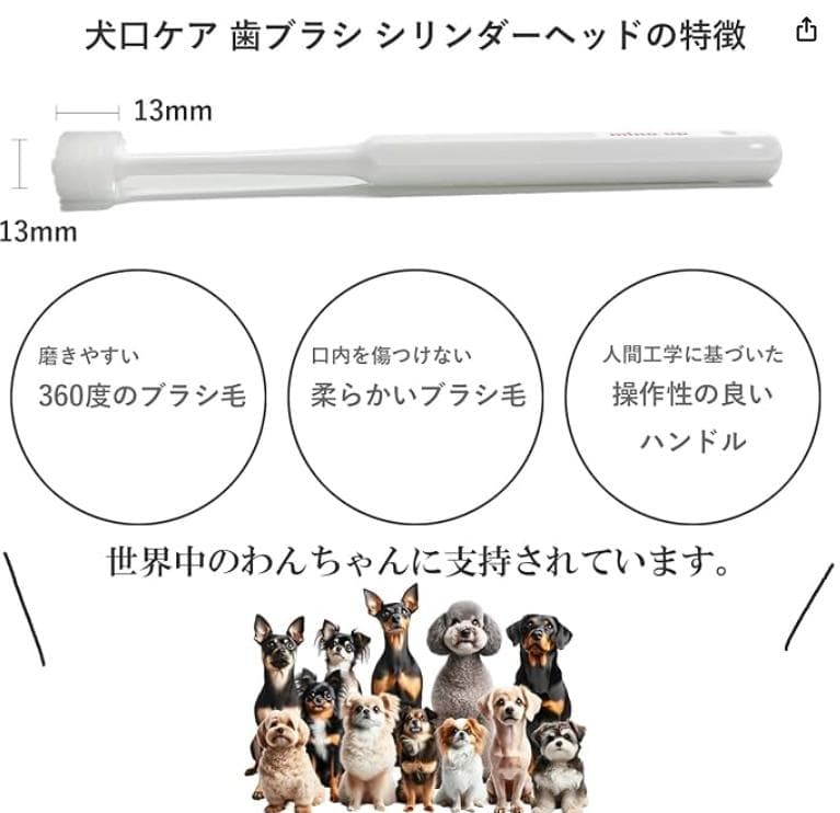 【新品未使用】犬口ケア 犬用 歯ブラシ シリンダーヘッド(レギュラー) 81個