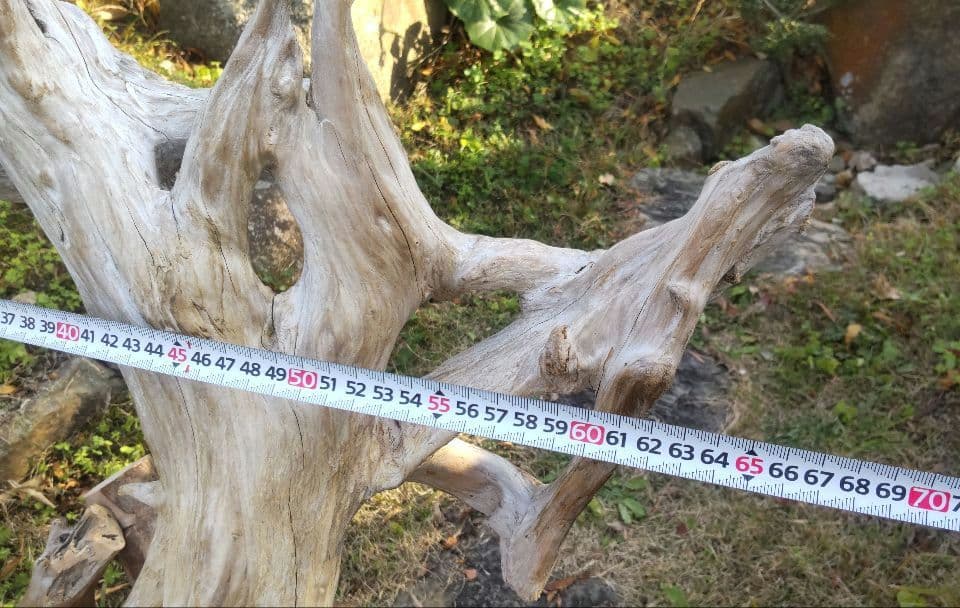 バードアスレチック　流木　インコ　鳥用止まり木