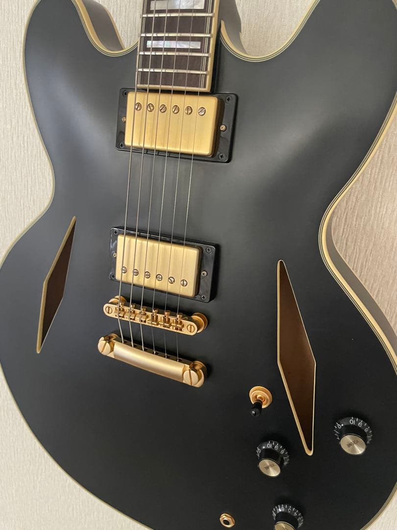 a*a様 Epiphone Emily Wolfe Sheraton Steal