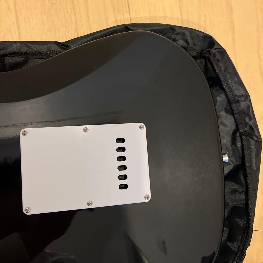 【美品】SELDER 黒 ブラック セルダー ソフトカバー　チューナーセット