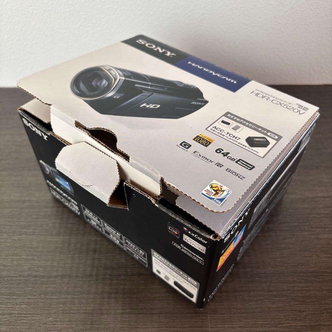 SONY HDR-CX520Vデジタルビデオカメラ おすすめアクセサリーキット付