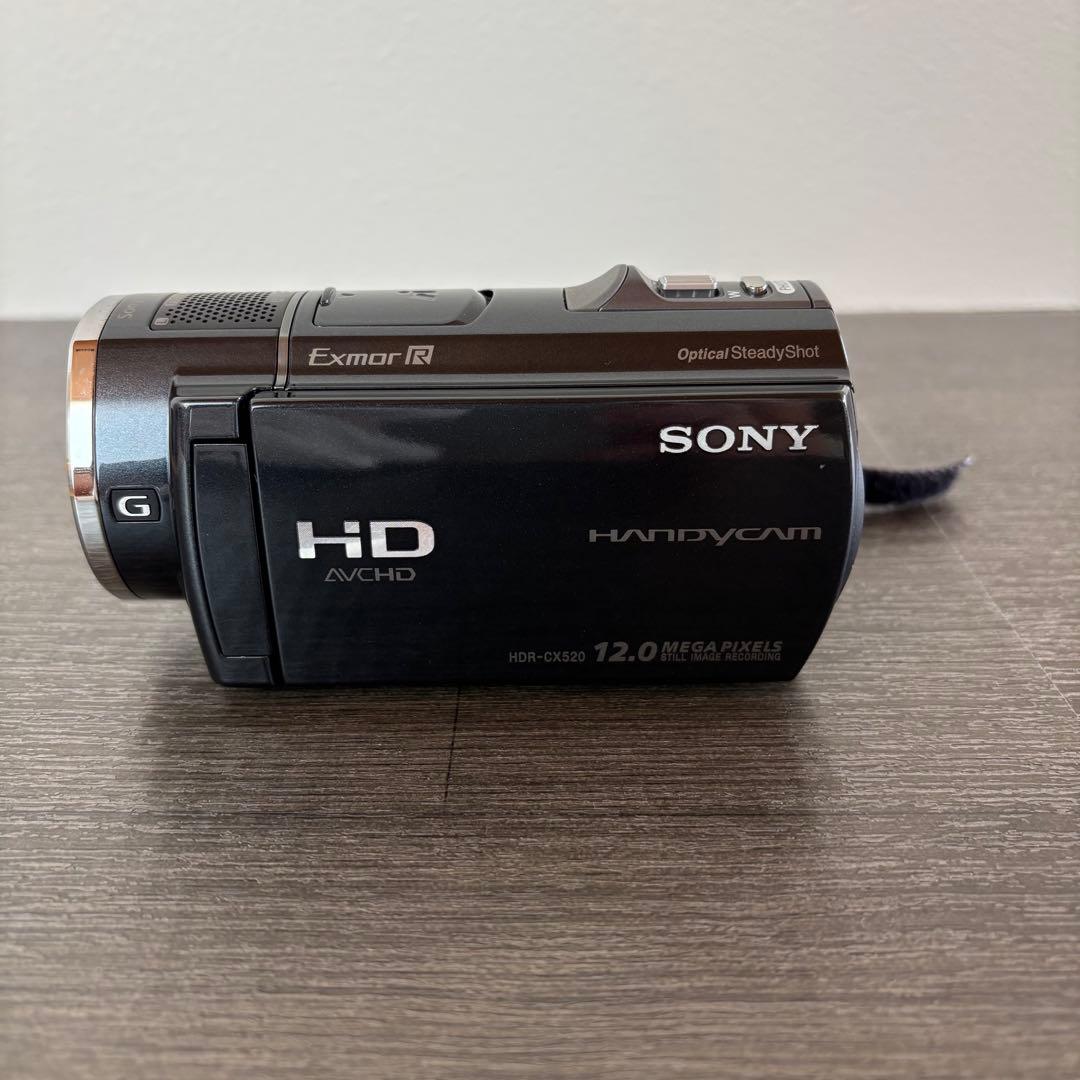 SONY HDR-CX520Vデジタルビデオカメラ おすすめアクセサリーキット付