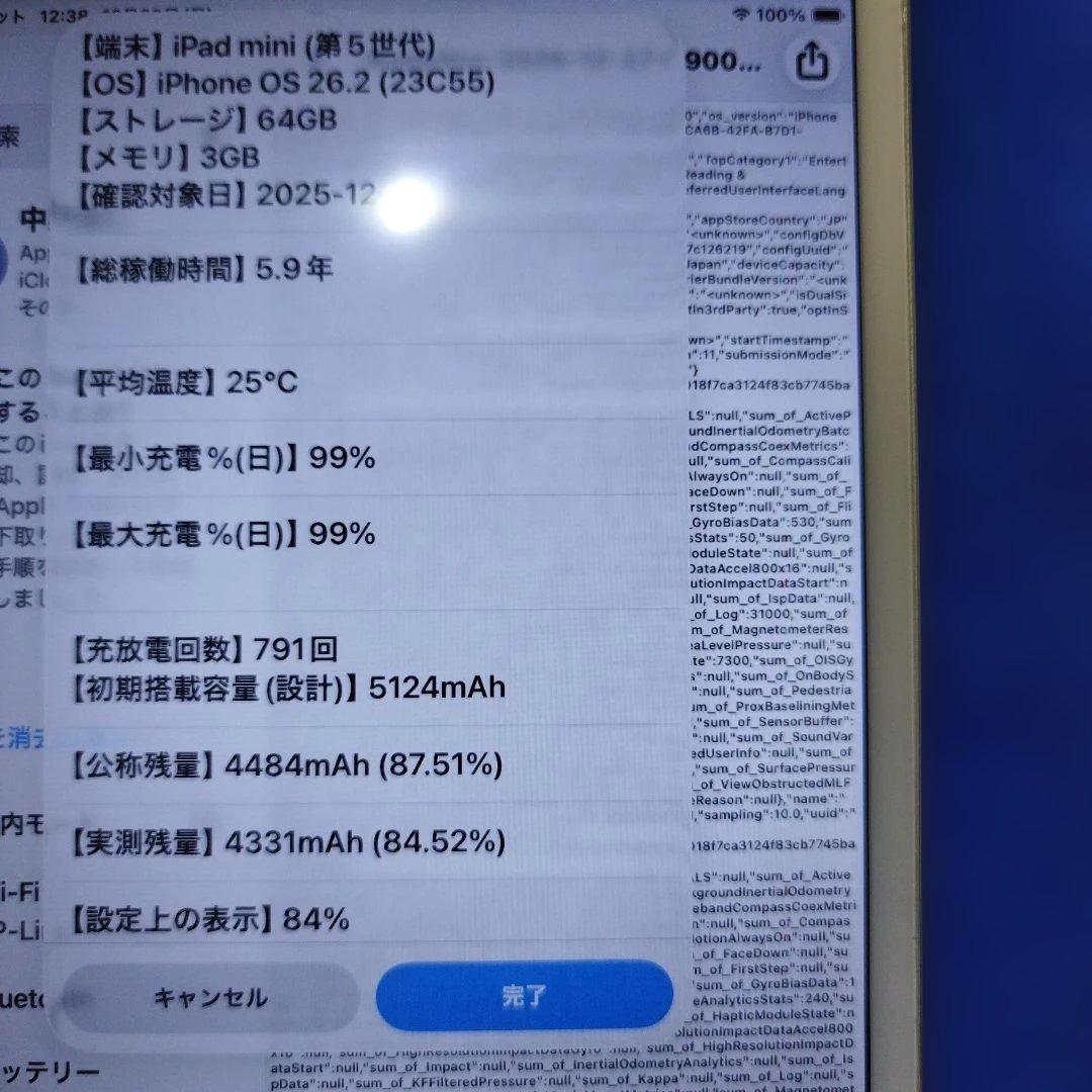 iPad mini 5 64GB Wifiモデル