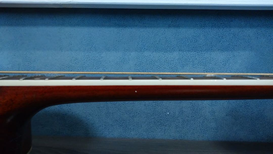 Washburn d10sce　エレアコ