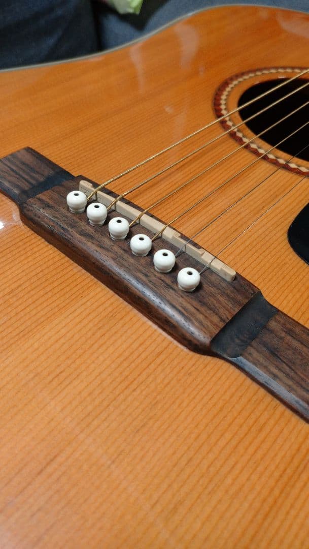 Washburn d10sce　エレアコ