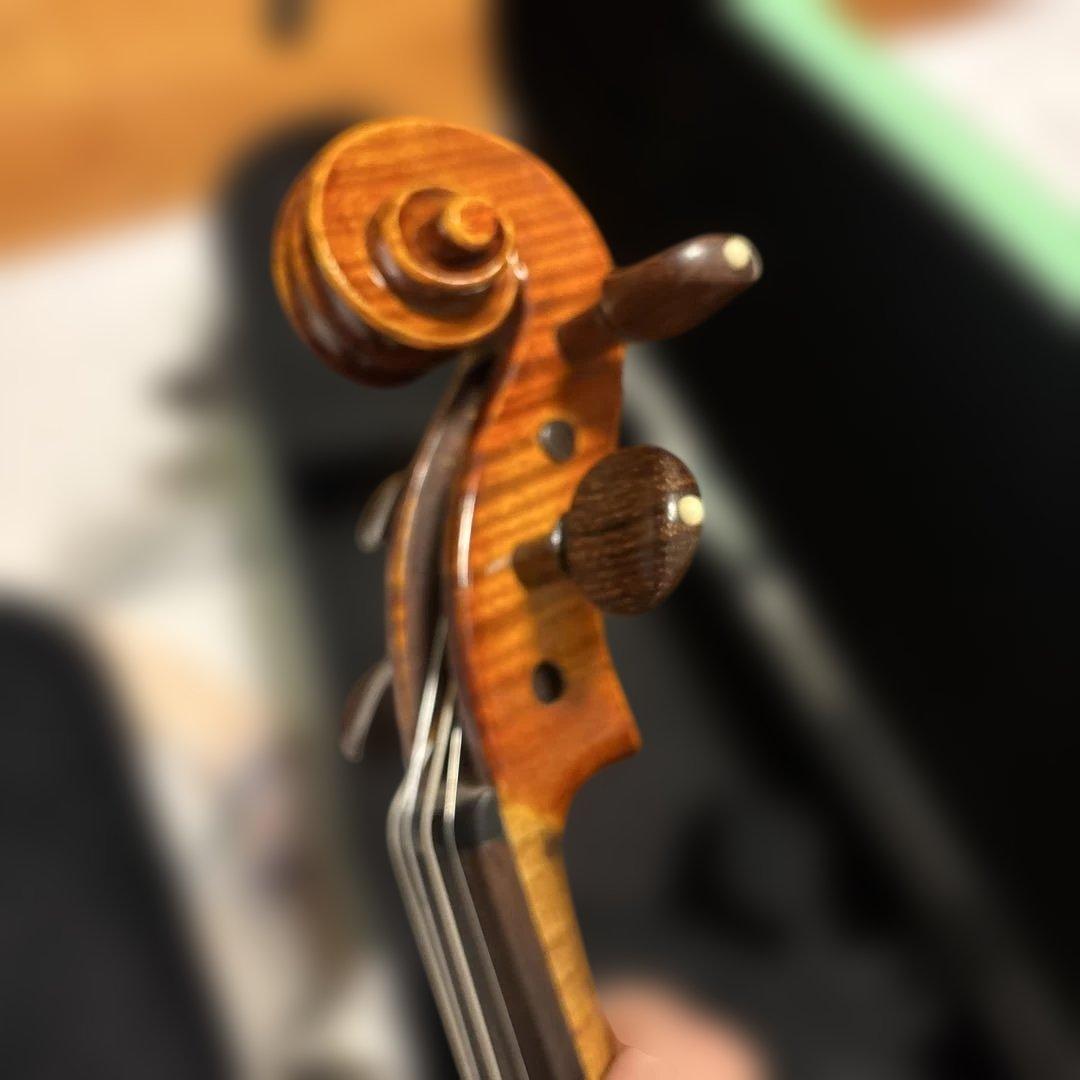 Roderich Paesold 806 バイオリン 4/4サイズ