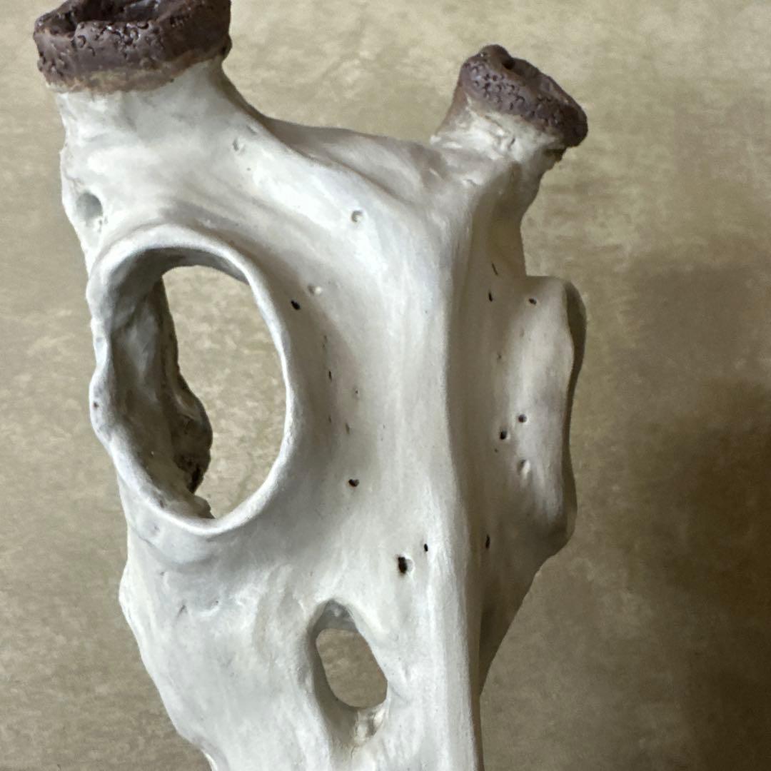 入手困難⭐︎ハンティングトロフィー　陶器製　鹿　角　オブジェ