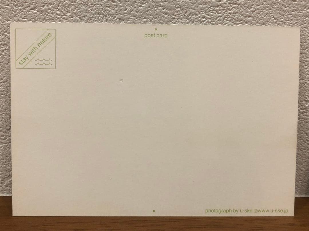 ヘザーブラウン 絵画 アート u-ske ポストカード 木製フレーム付き まとめ