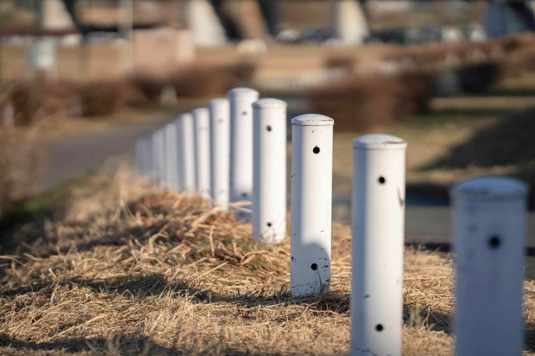 ※ニーナ　SIGMA Art 135mm F1.8 DG HSM EF