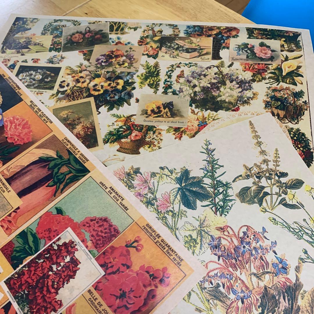 包装紙32×45×100枚