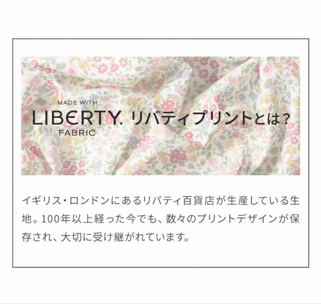 【直営店限定】エアバギー純正コーナークッション 限定品リバティ グレイ【新品】