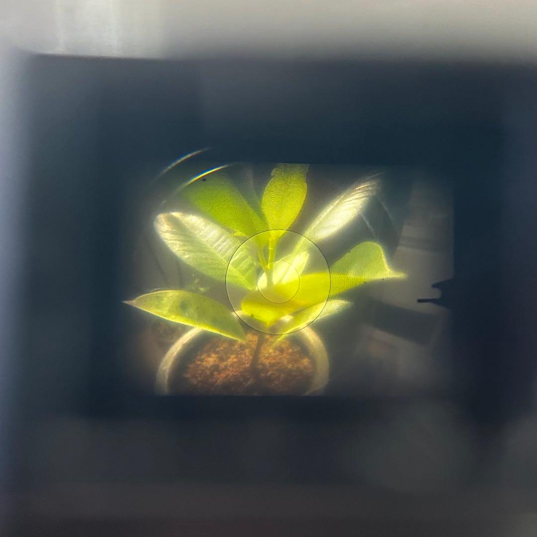 ★超希少★ KOWA UW190 1:4/19 フィルムカメラ