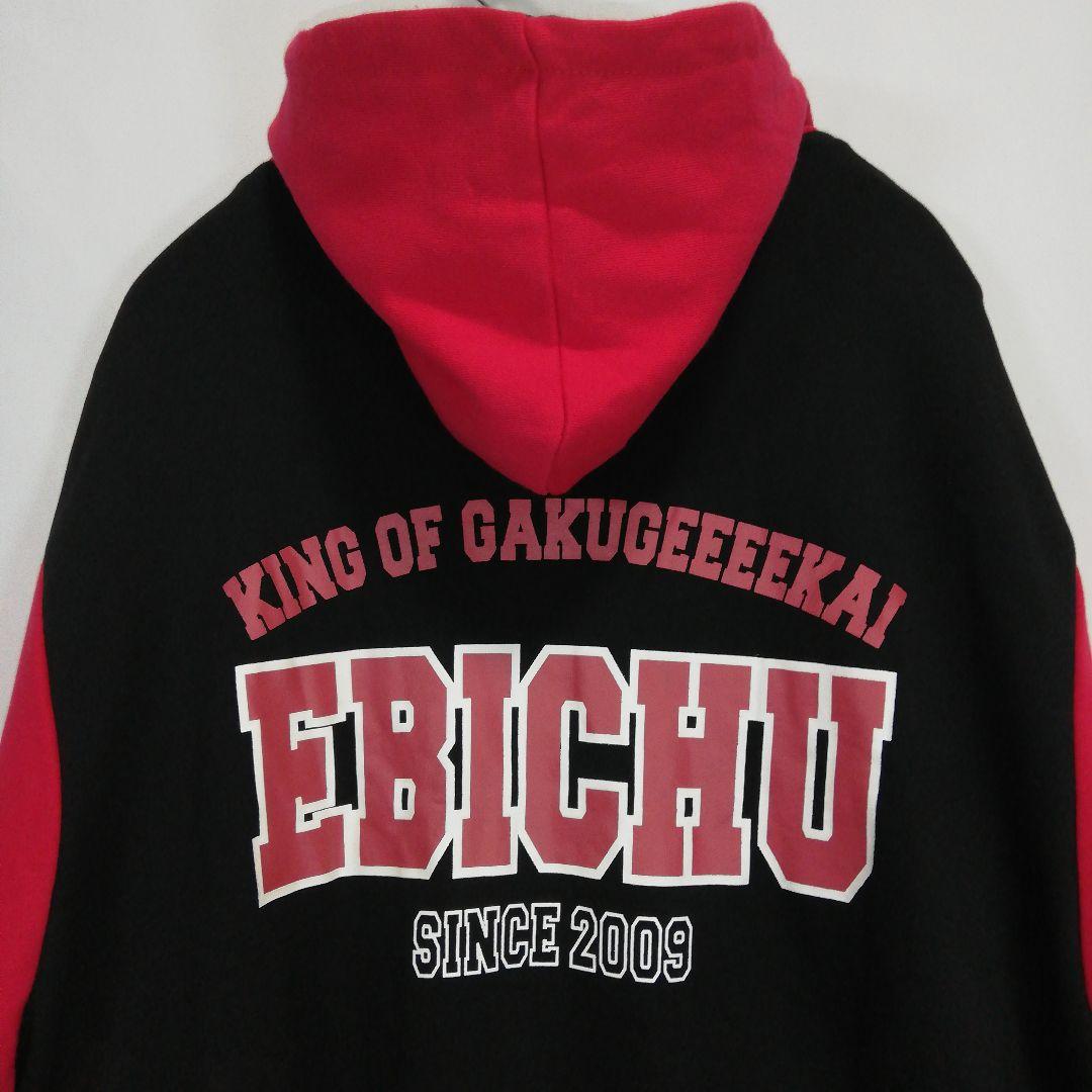 私立恵比寿中学 スタジャンパーカー BIG 柏木ひなた 10 エビ中 グッズ