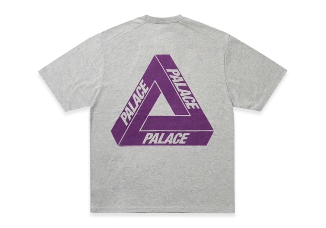 トップス PALACE The North Face Field Graphic Tee