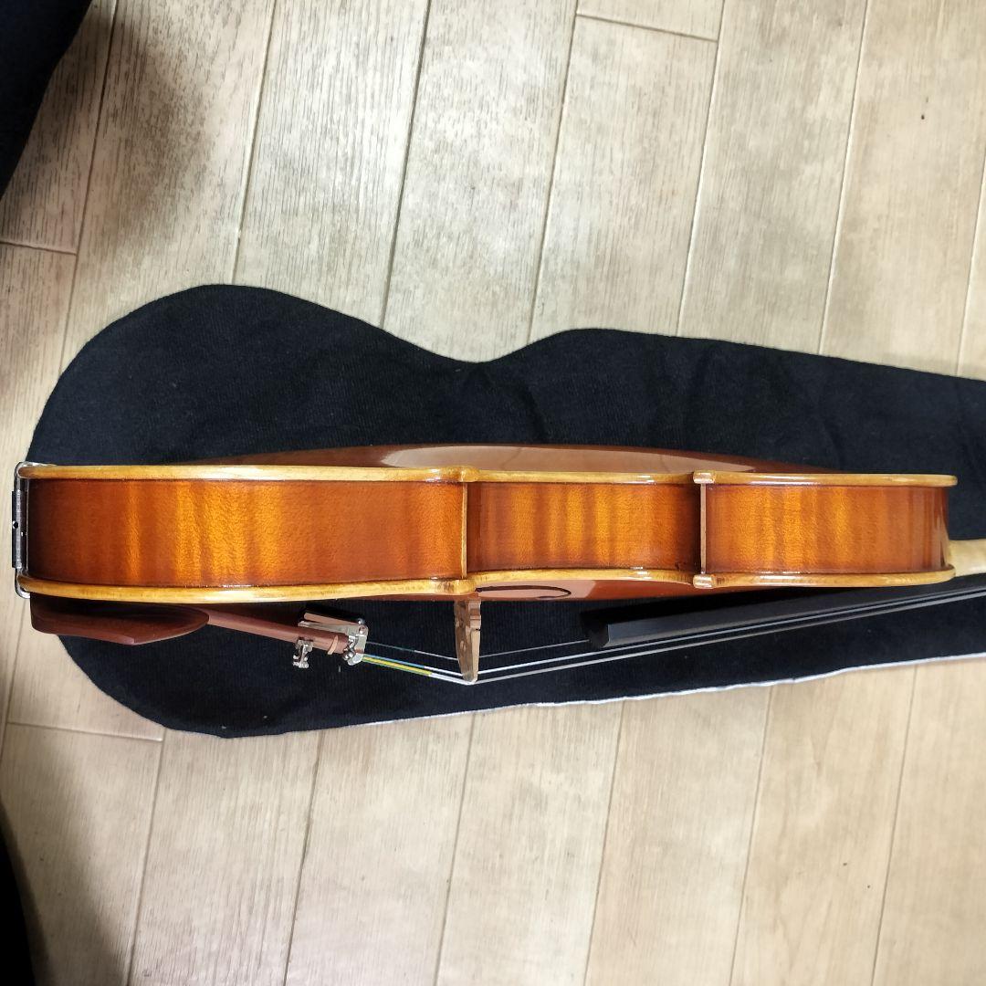 最終値下 ピグマリウス スタンダード 4/4 2020 イーストマンケース付