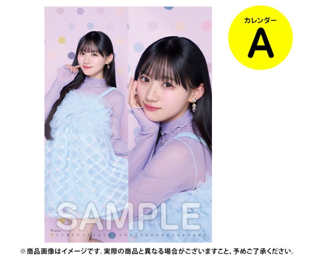 壁掛けカレンダー A B 2本セット 2026年 乃木坂46