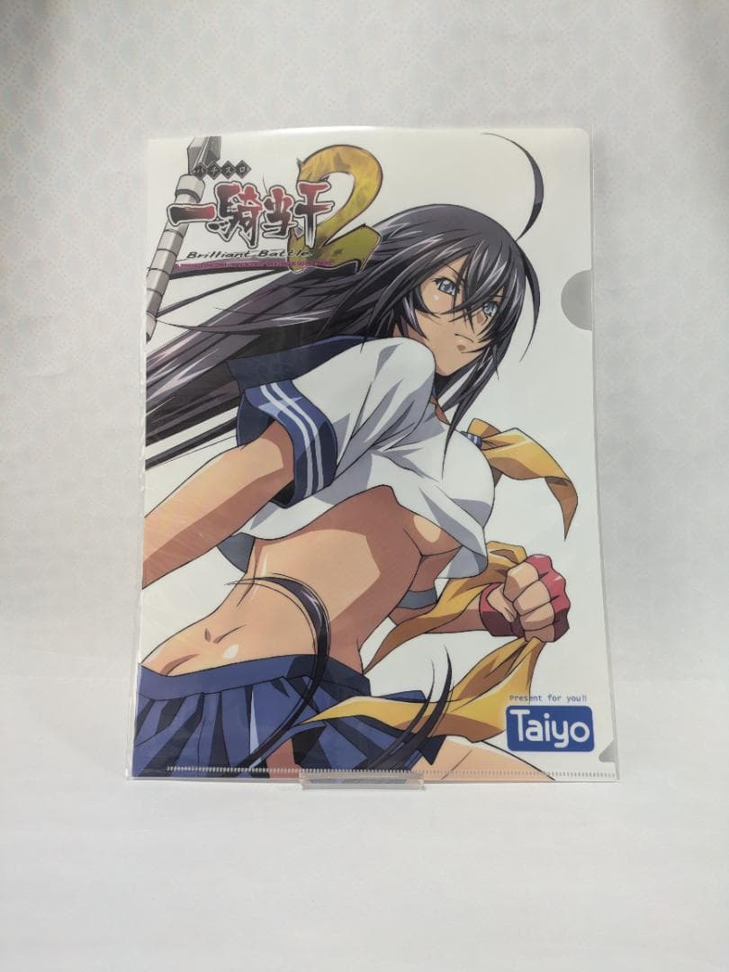 【一騎当千】クリアファイル 10種セット【非売品】