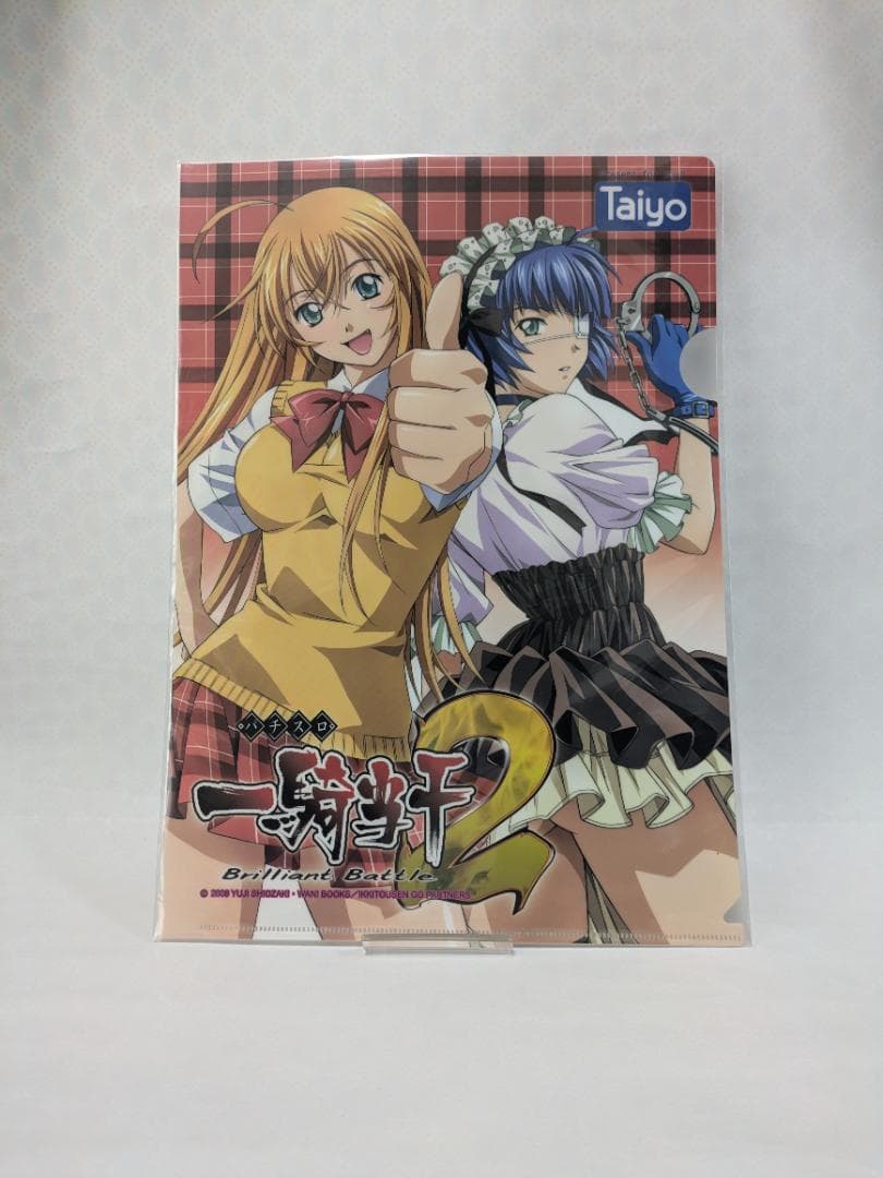 【一騎当千】クリアファイル 10種セット【非売品】