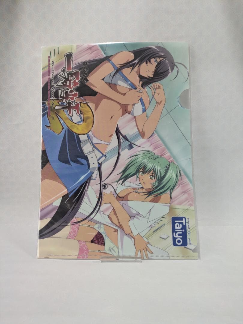 【一騎当千】クリアファイル 10種セット【非売品】