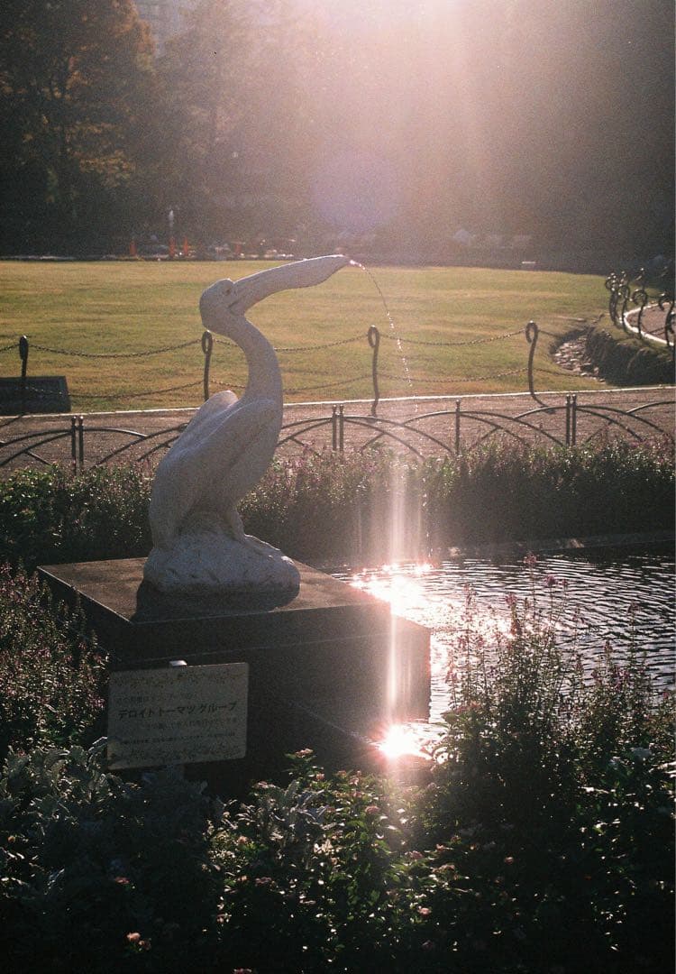 【動作品】Nikon FM10 + Zoom-NIKKOR 35~70mm